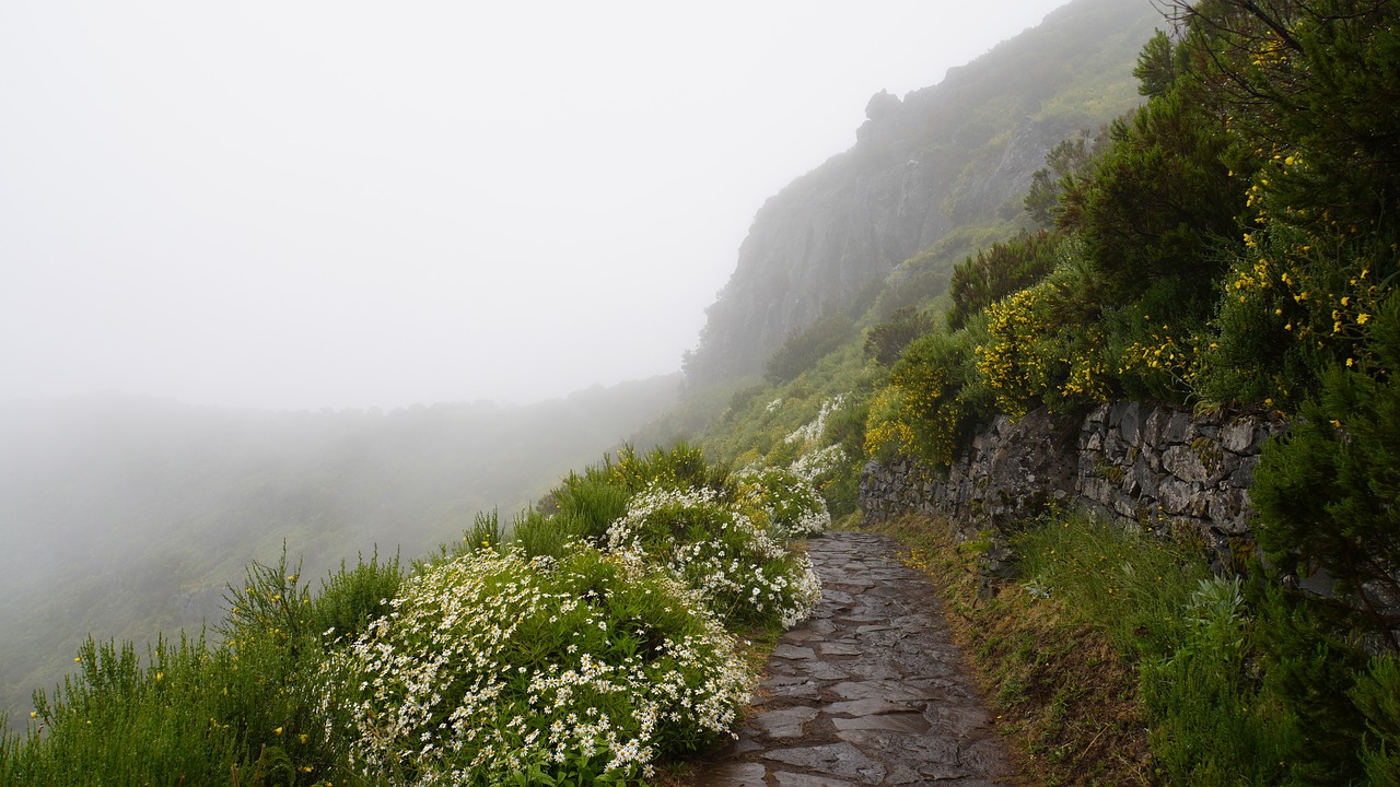 The Most Scenic Hikes in Europe’s Countryside